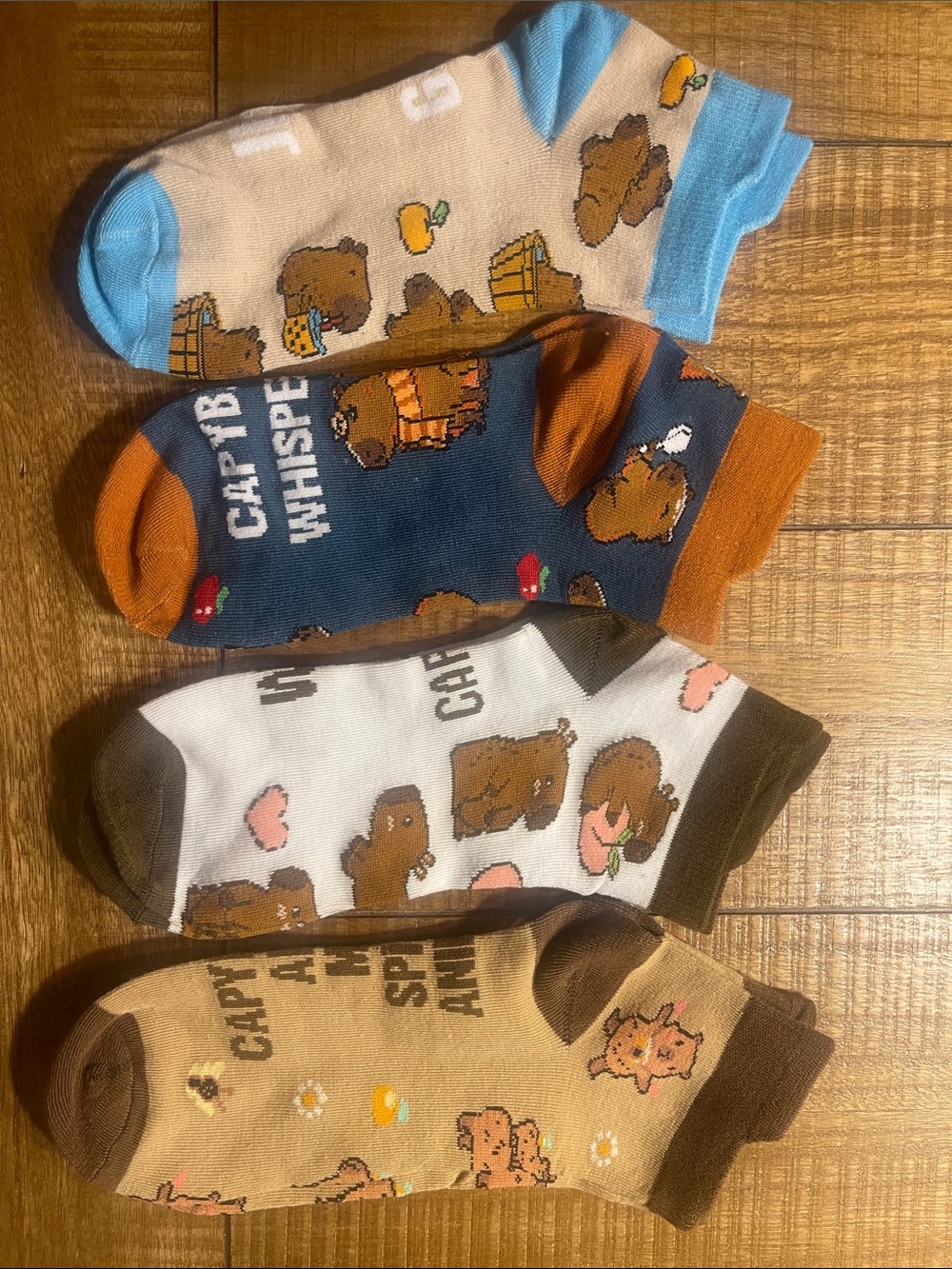 Cute Trendy Capybara Novelty Socks - Fall Ankle socks Multi Brown & Blue